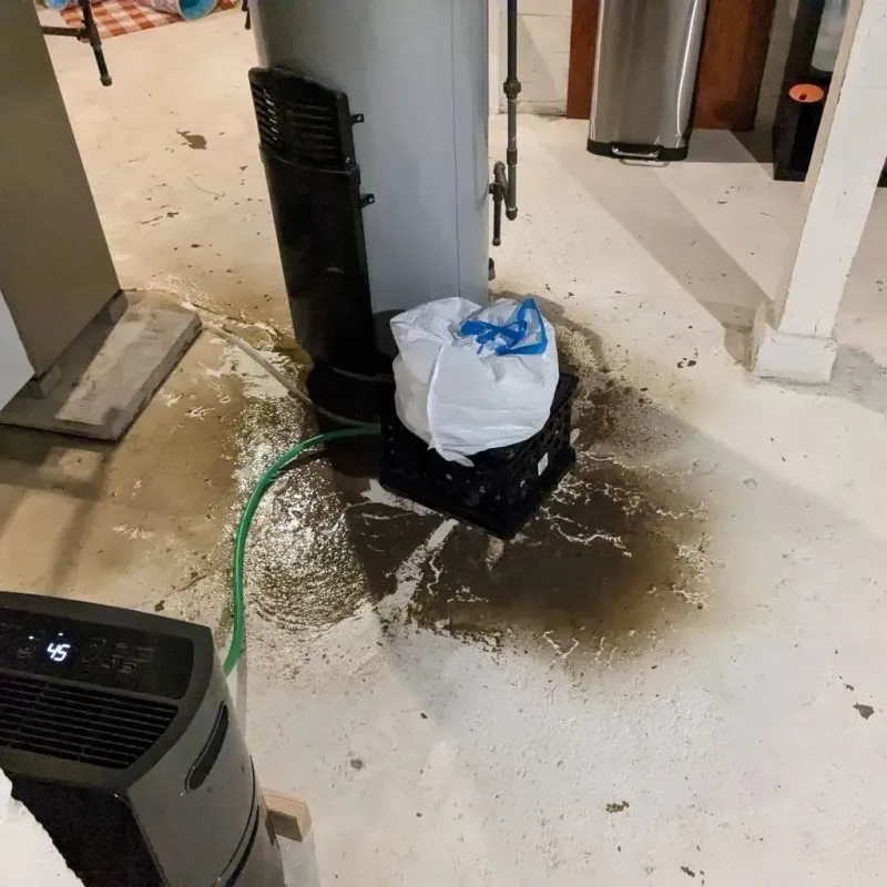 Sewage Backup Cleanup Service in Claypool Hill, VA